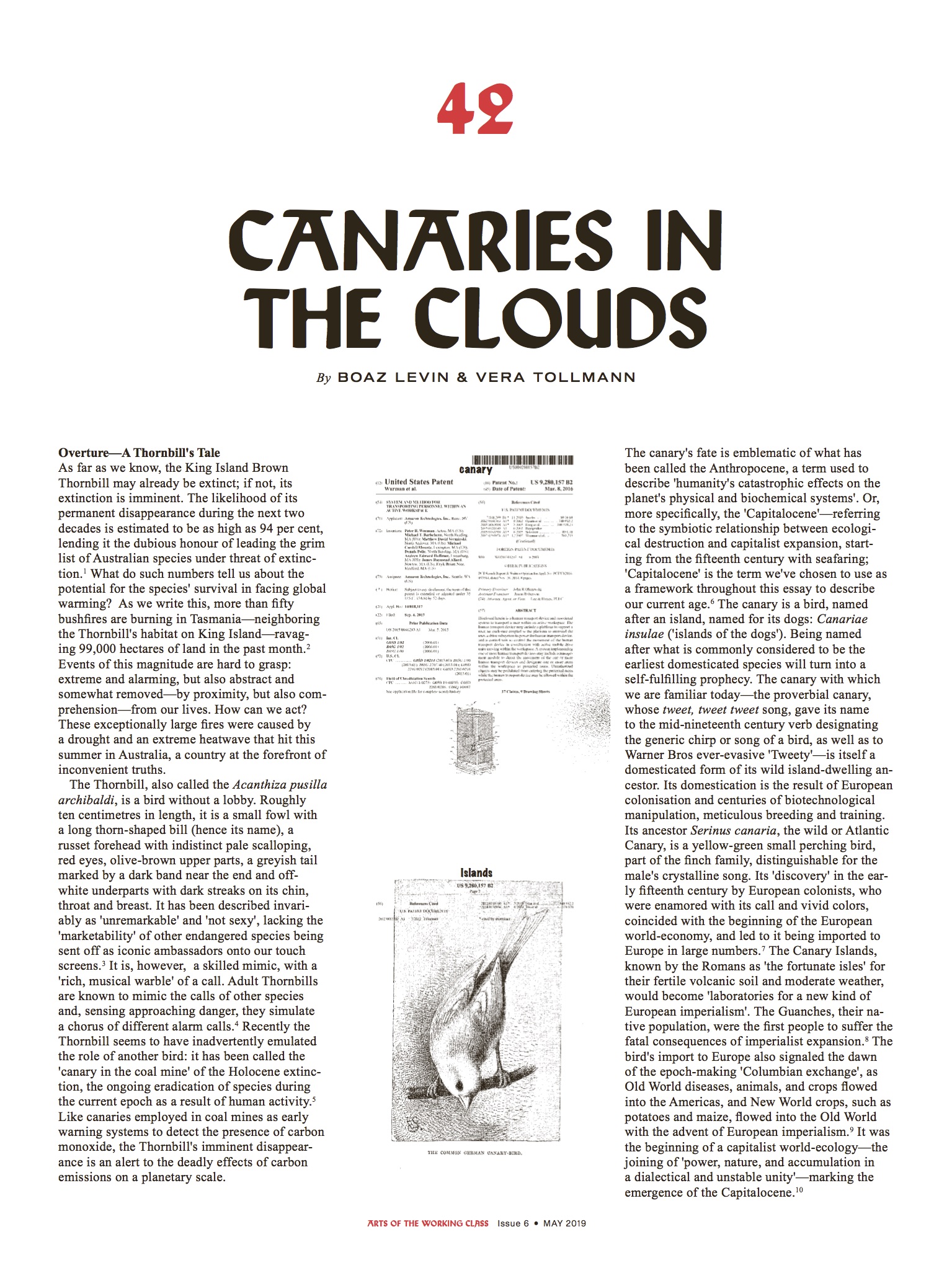 canaries_in_the_clouds_awc-1.jpg
